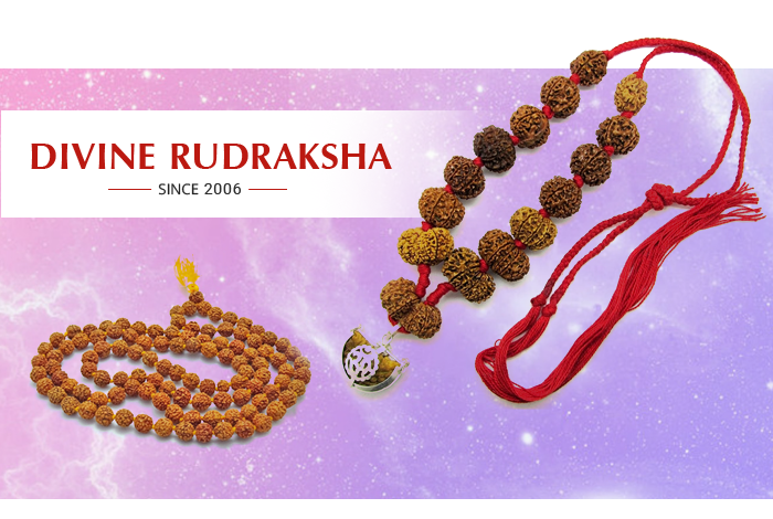 Divine Rudraksha